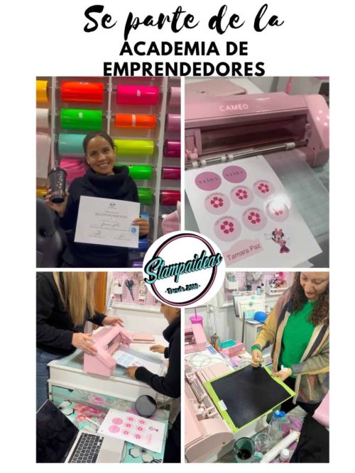 Curso stickers Silhouette - Tienda Stampaideas