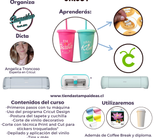 Curso Creando stickers con Cricut - Tienda Stampaideas